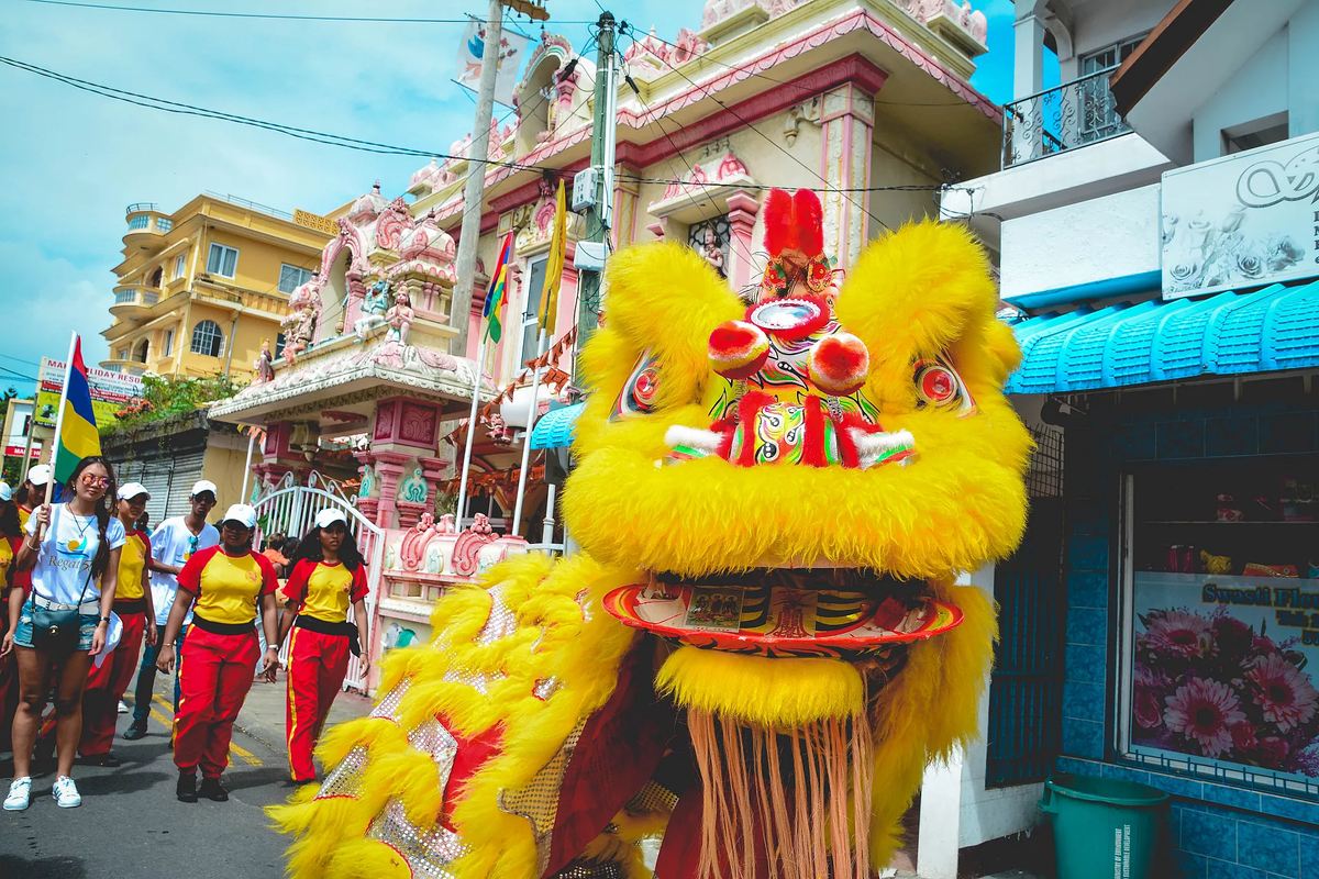 Mauritius: The Crossroads of the Indian Ocean : A DNA Analysis of a Sino-Mauritian Family
