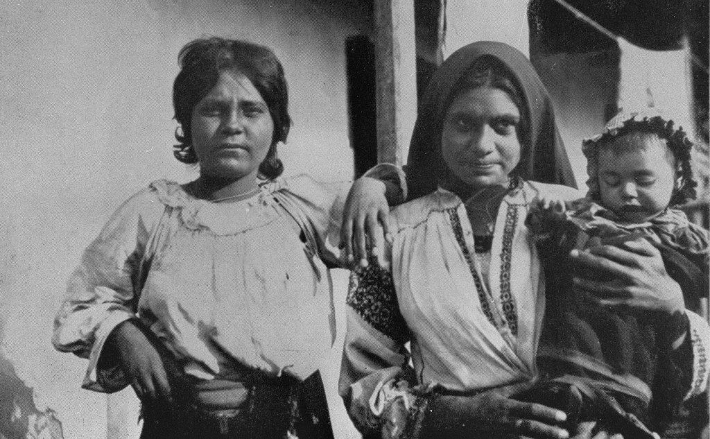 The Genetic Origins of the Roma Diaspora