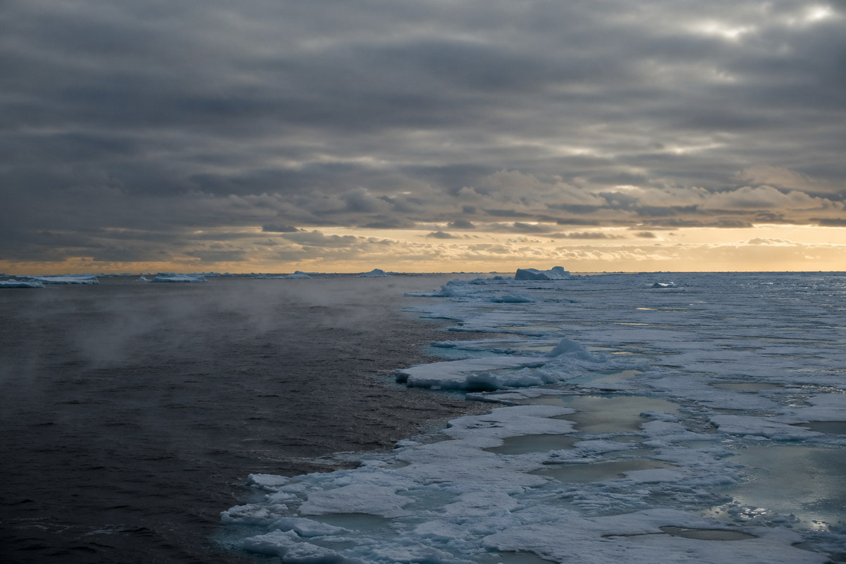 The Solutrean Hypothesis Fails Its Own Test: One Usable Genome Out of Three, a One Per Cent Detection Floor, and the Continent's Most European-Shifted Genome Sitting in Alaska