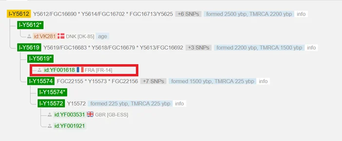 Y-DNA haplogroup I-Y5619 from Calvados