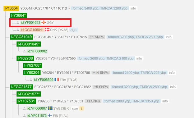 Y-DNA haplogroup I-Y3664 from Guernsey