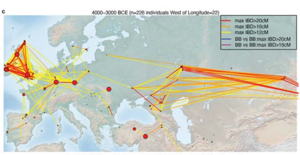 IBD Network Map showing Bell Beaker connections across Europe 4000-3000 BCE